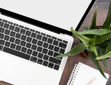 По-чист въздух в офиса с Aloe vera